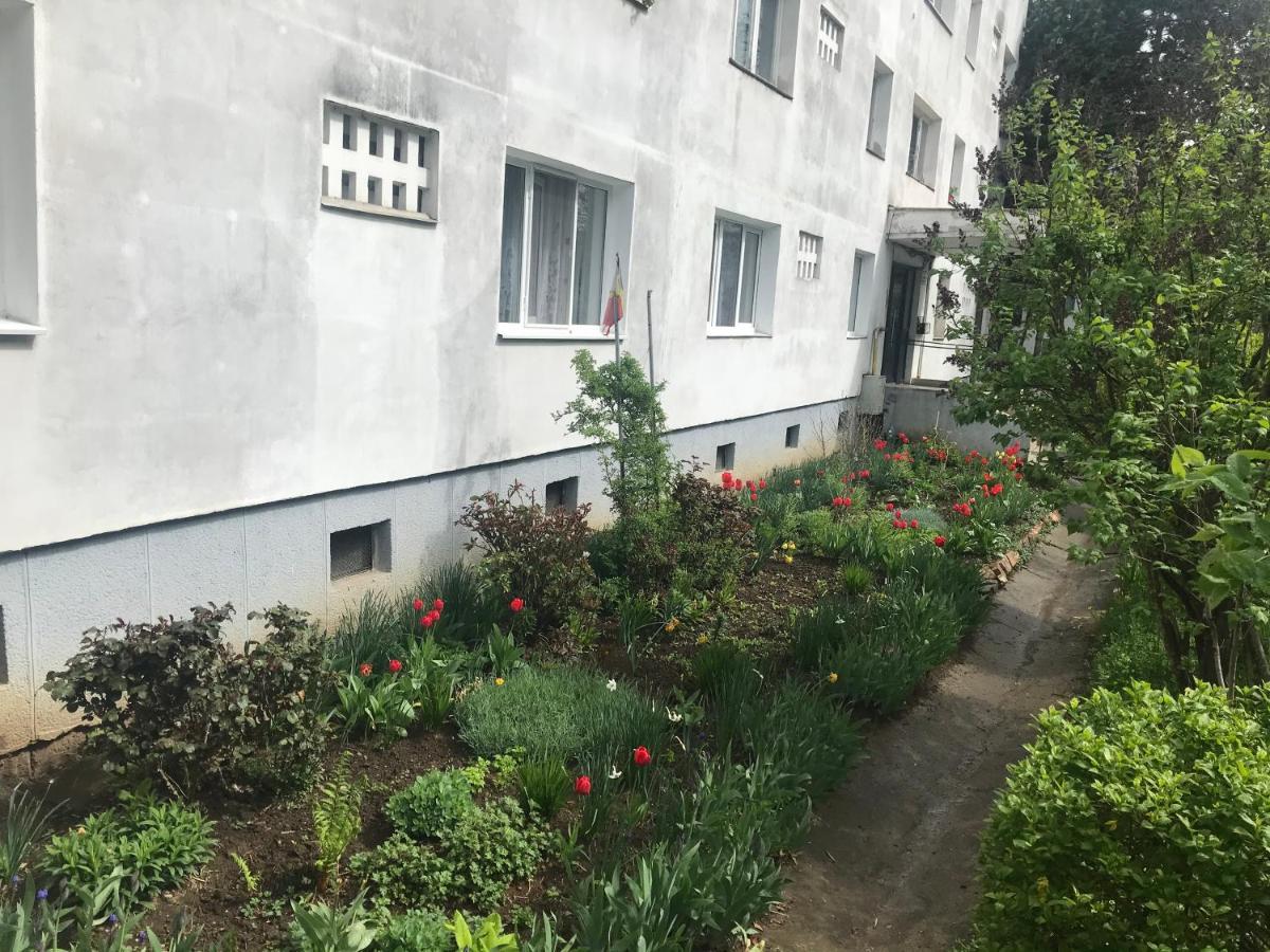 Apartament Colina Cluj-Napoca Exteriör bild